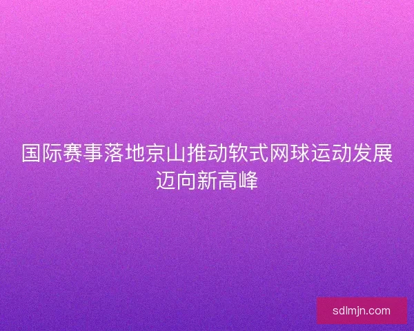 国际赛事落地京山推动软式网球运动发展迈向新高峰